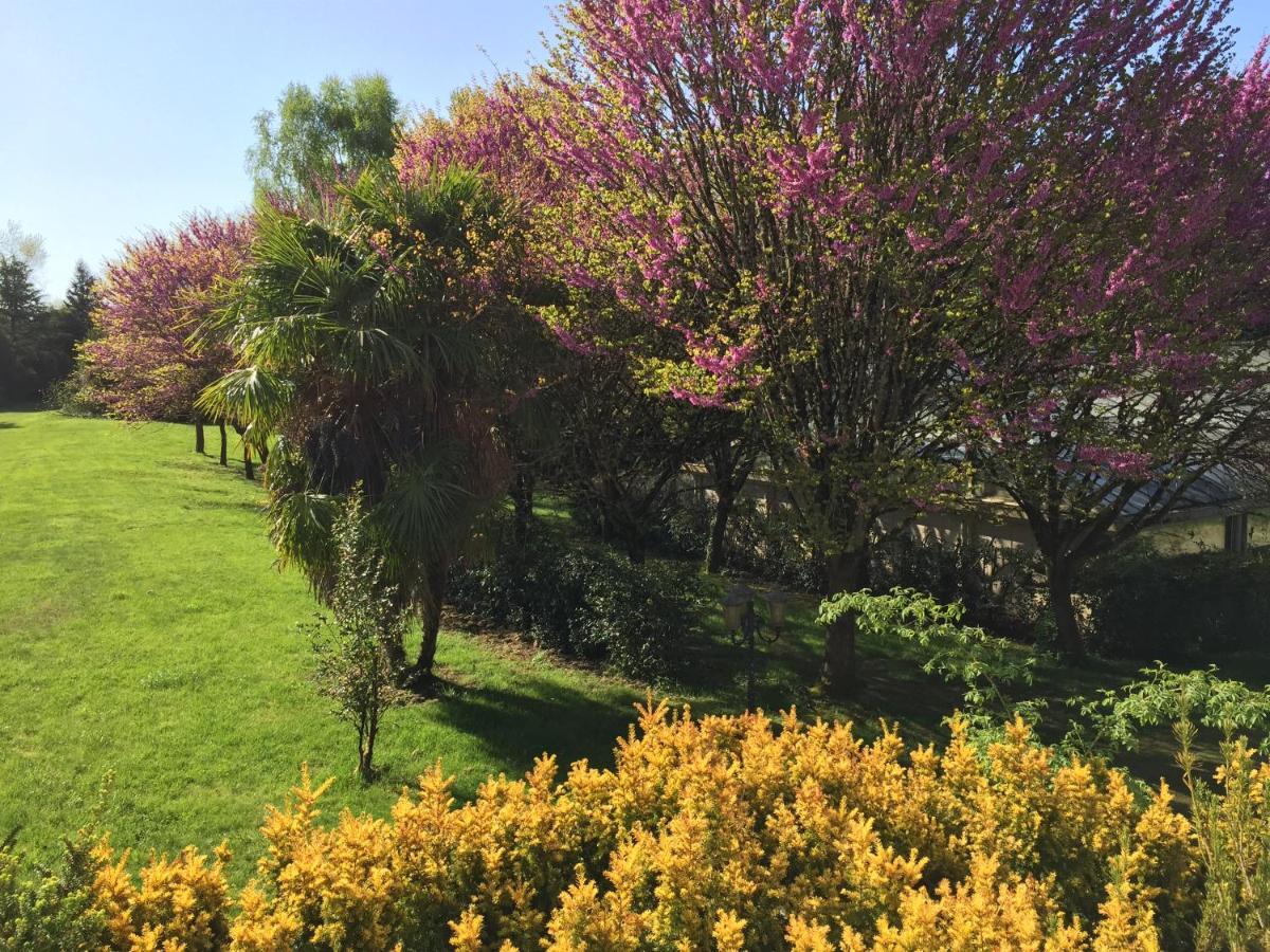 Le Belvedere Thiviers Oda fotoğraf